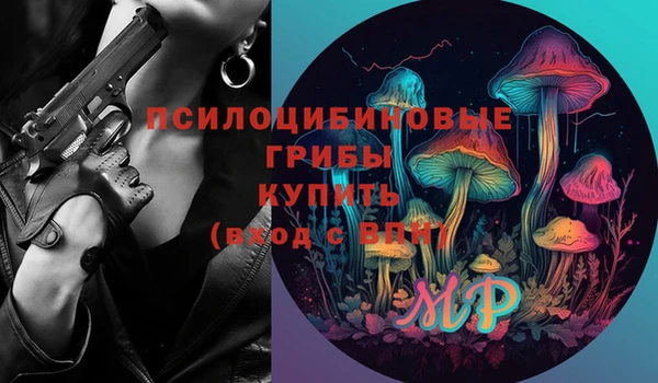 мдпв Белокуриха