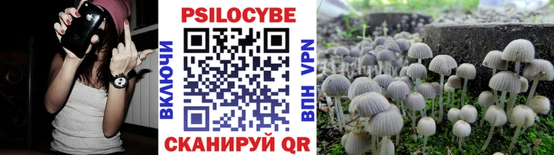 Галлюциногенные грибы Psilocybine cubensis Воркута