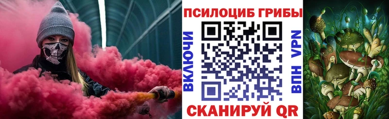 гидра ссылка Воркута Псилоцибиновые грибы Psilocybine cubensis